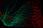 Fitting Models on High Dimensional Biological Data (in R)
